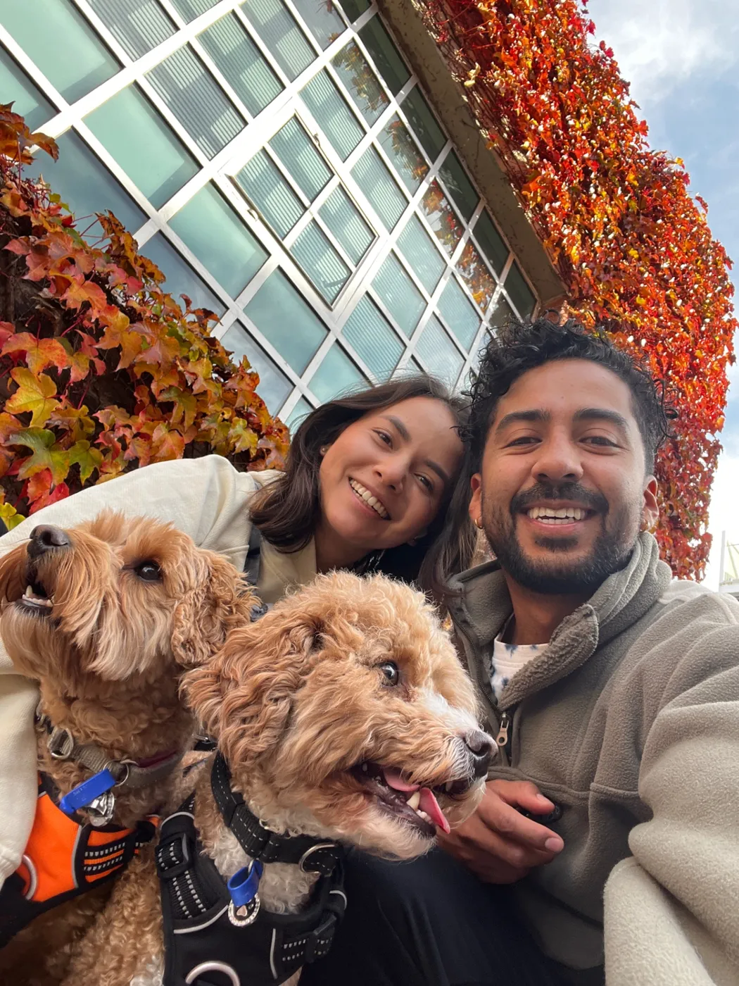Yen and Nico smiling with two curly-coated dogs beneath autumn leaves
